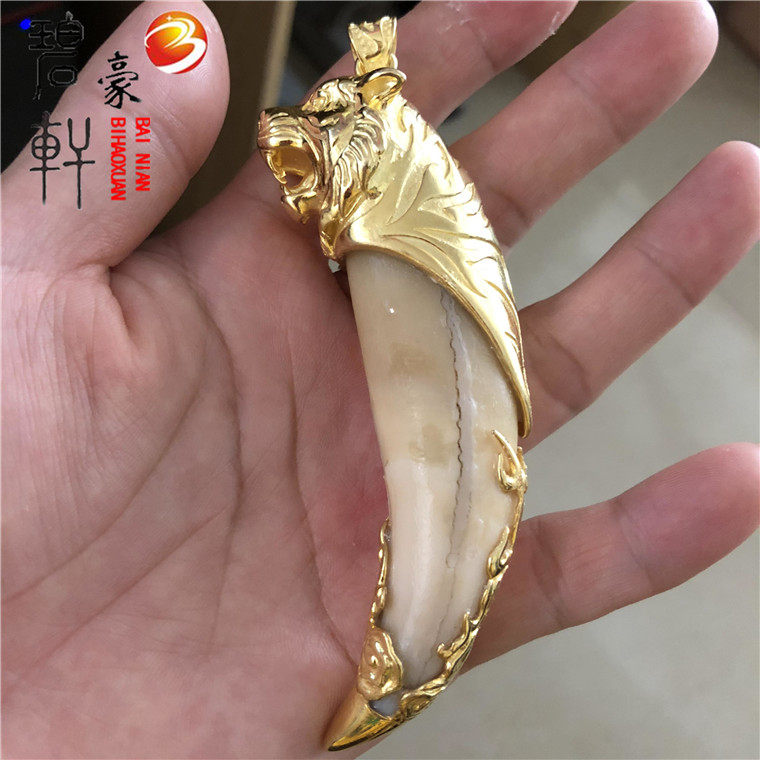 金色新款猛虎虎牙熊虎牙吊坠生肖纯银老虎头特大号项坠