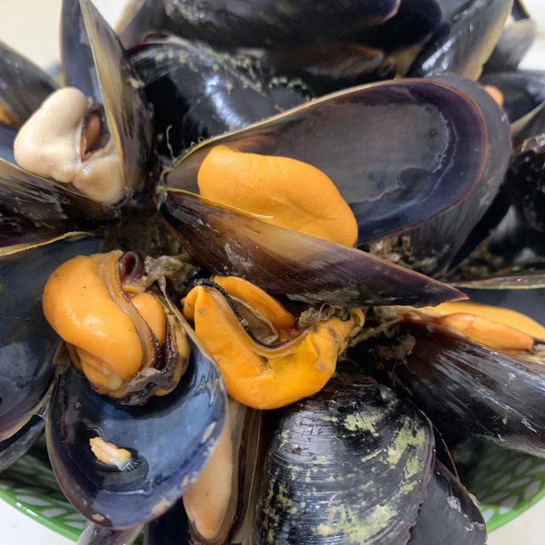 鲜活海虹海鲜水产新鲜淡菜口贝带壳发货5斤青口贝