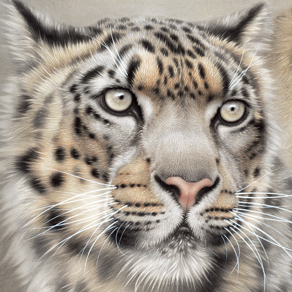 国画刘继彪雪豹工笔动物名家书画艺术微喷装饰挂画国画