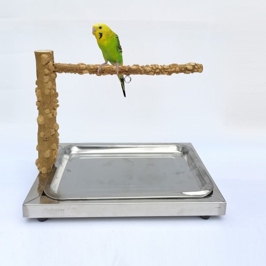 站架见血桌面不锈钢鸟架训练外带中小型鹦鹉站台其他