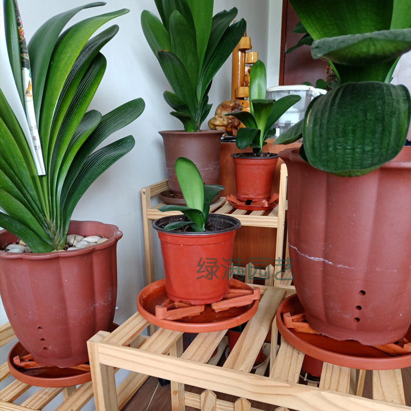 花盆垫脚底垫通风透气防烂根家用室内花卉盆栽花托