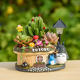 Fun Gardening Cartoon My Neighbor Totoro Flower Pot Creative Lighting With Street Light Succulent Flower Pot Showcase Home Furnishing Decoration Fun Gardening Cartoon My Neighbor Totoro Flower Pot Creative Lighting With Street Light Succulent Flower Pot Showcase Home Furnishing Decoration