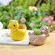Fun playing garden cartoon small yellow duck multi-meat flower bowl cute small animal meat potted resin home decoration Fun playing garden cartoon small yellow duck multi-meat flower bowl cute small animal meat potted resin home decoration