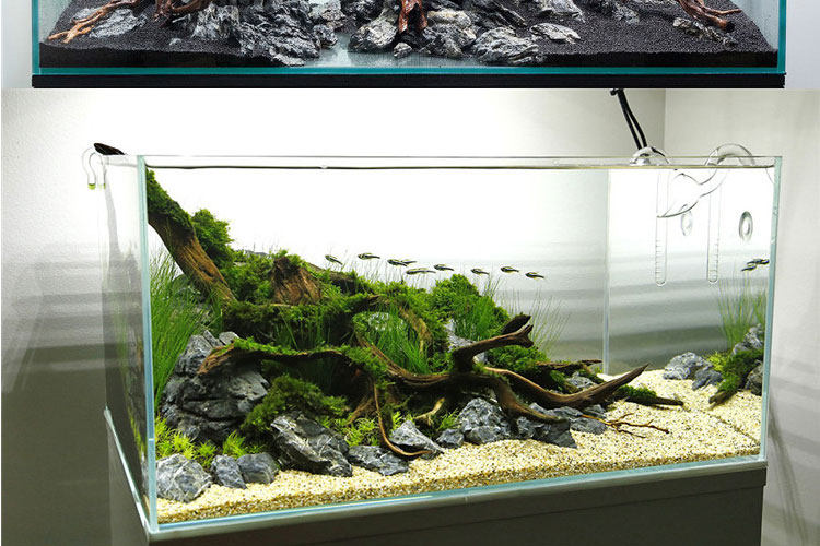 景石造景酸洗青龙石造鱼缸水族箱草缸水草假山造景
