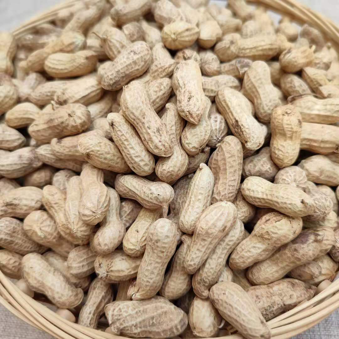 花生带壳农家家生21年自种自销五斤花生