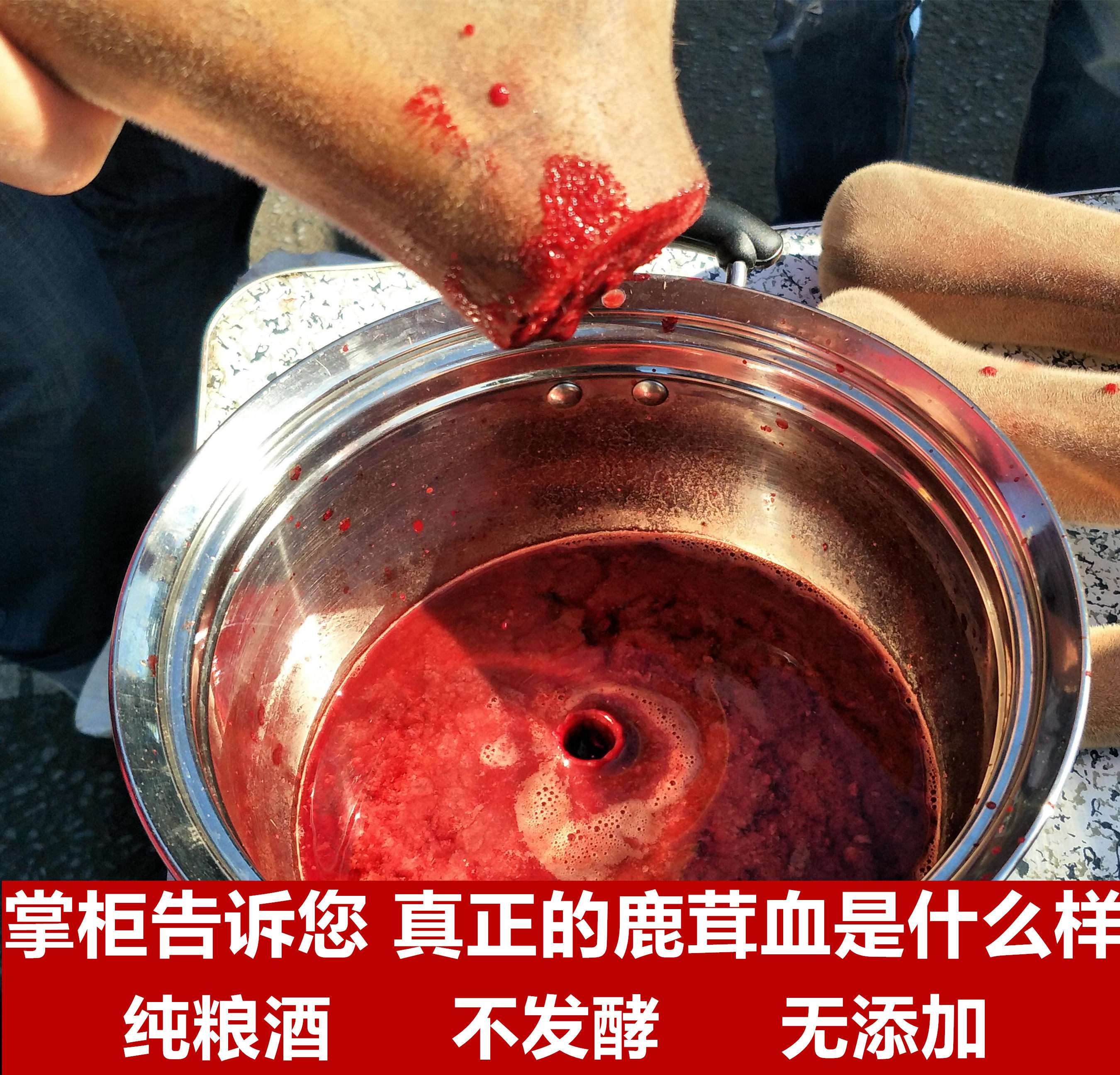 东北长白山梅花鹿茸血纯鹿茸血鹿血加白酒保鲜邮寄可以泡500ml酒