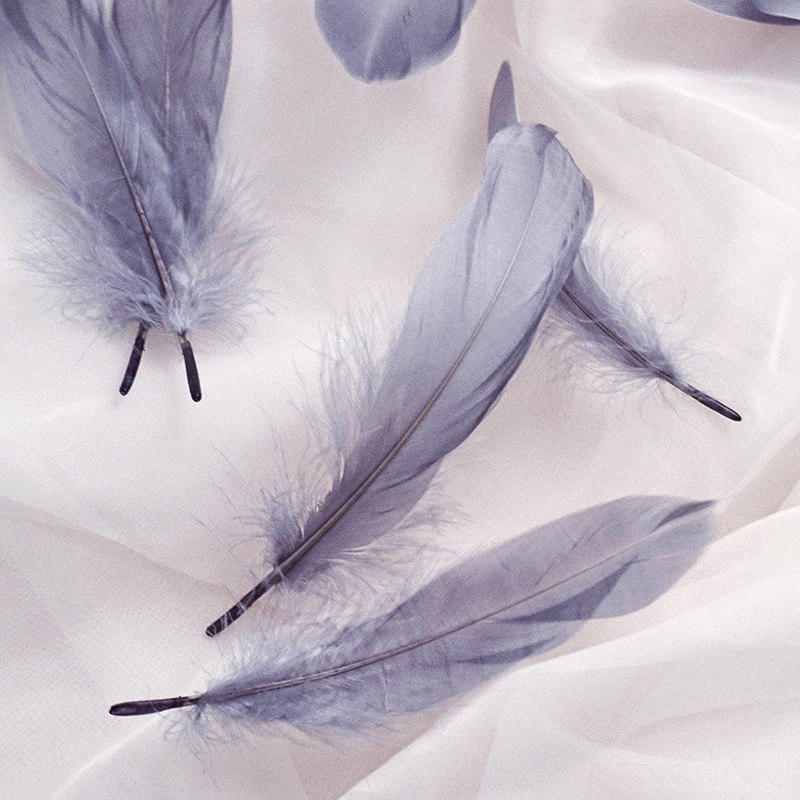 ins灰色羽毛房间装饰品摆拍照相摄影美甲摆件辅助道具类