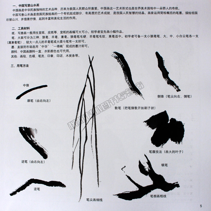 教程基础水墨画自学儿童2册画画国画写意初学绘画新