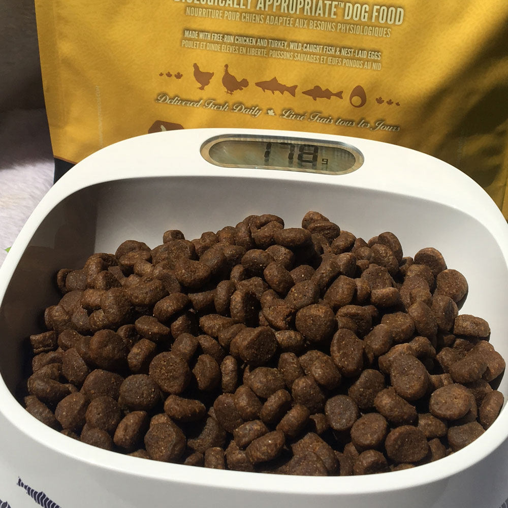 现货加拿大渴望orijen天然无谷幼犬狗粮114kg宠物狗全价膨化粮