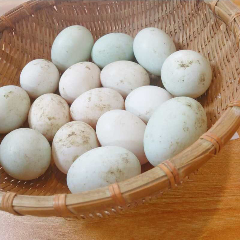 湖南农村谷物新鲜大鸭蛋 农家散养土鸭蛋青皮绿壳非双黄鸭蛋30枚_双氙