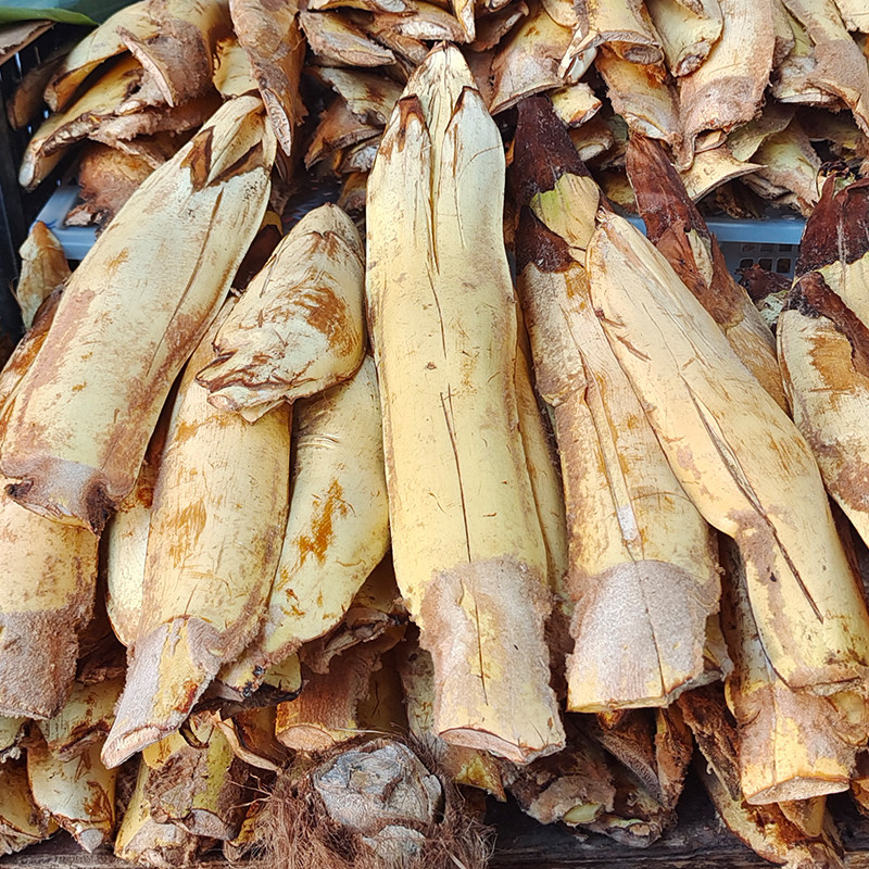 云南特产野生新鲜棕包米棕苞树花笋棕带壳棕榈其它