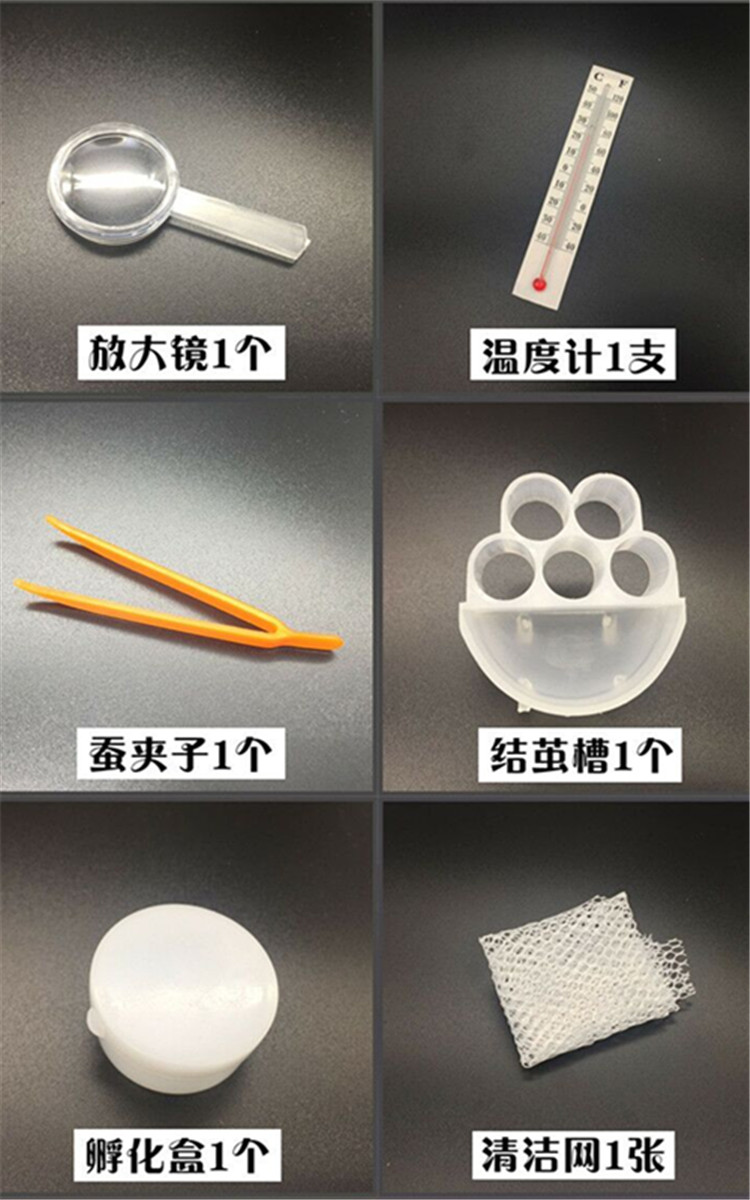 养蚕学生专用工具套装蚕宝宝饲养盒子蚕屋别墅蚕宝宝