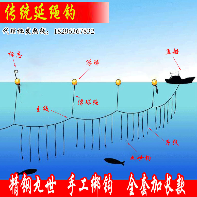 排钩延绳钓教程图片