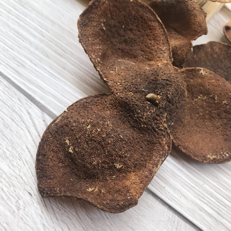 陈皮正宗新会年老广东特产250g半斤陈皮