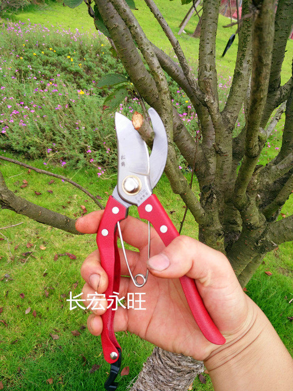树枝剪刀德国家用果树省力摘果剪修枝剪刀园艺剪日本盆景弹簧桑剪