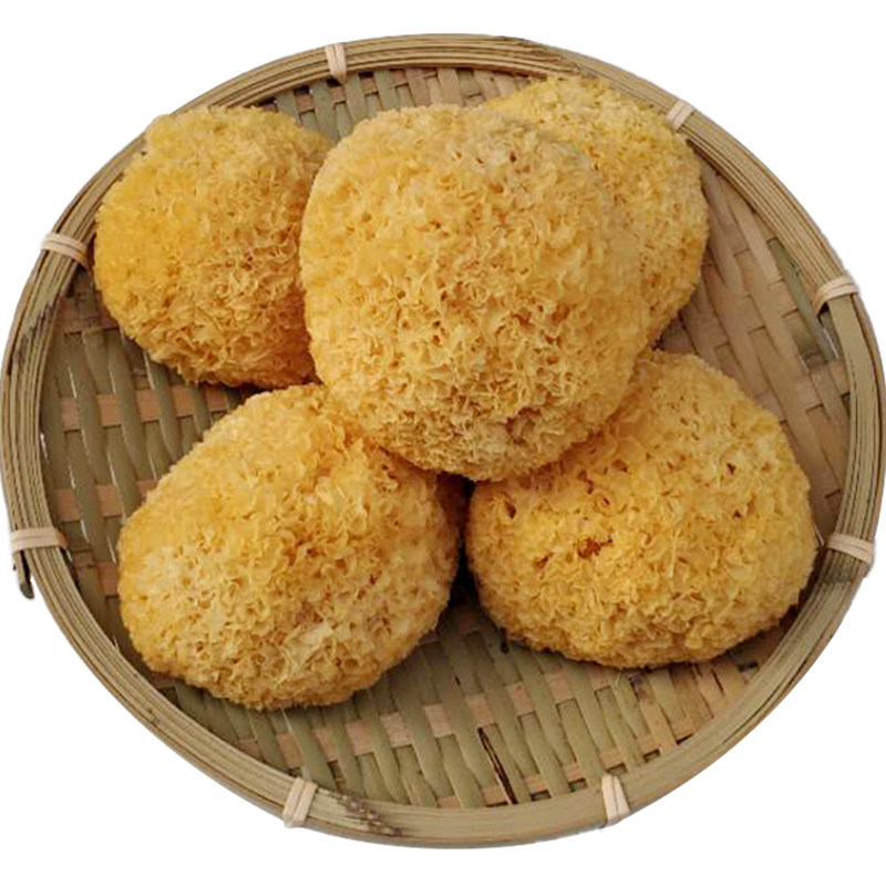 古田散装福建正宗木耳白木耳干货丑耳银耳硫密银耳