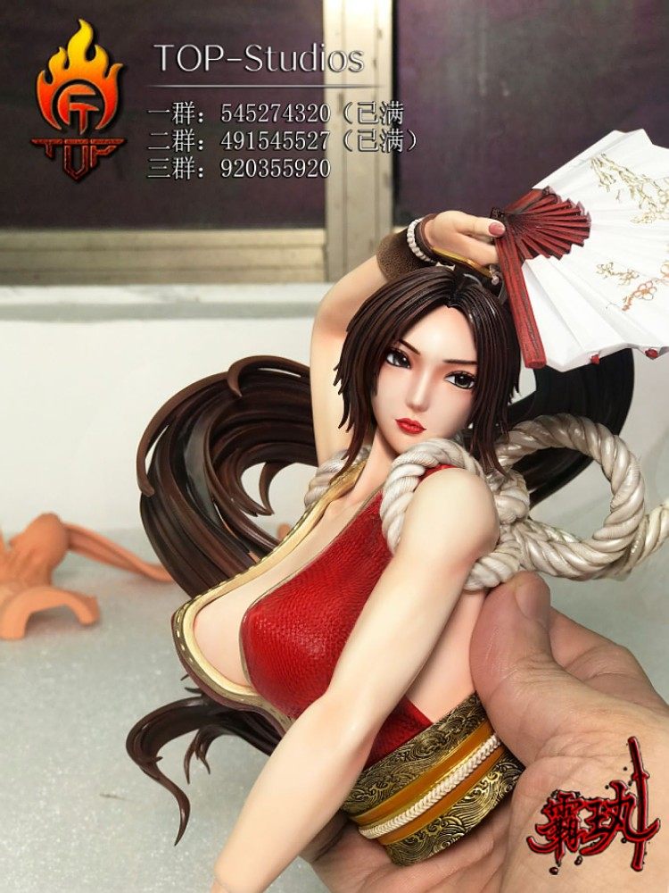 十月动漫top妖艳忍者格斗少女不知火舞拳皇海贼王手办专区