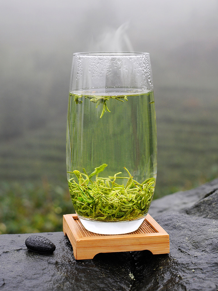 敦蒙绿茶2022新茶蒙山绿毛峰日照充足毛尖茶叶特色产区绿茶