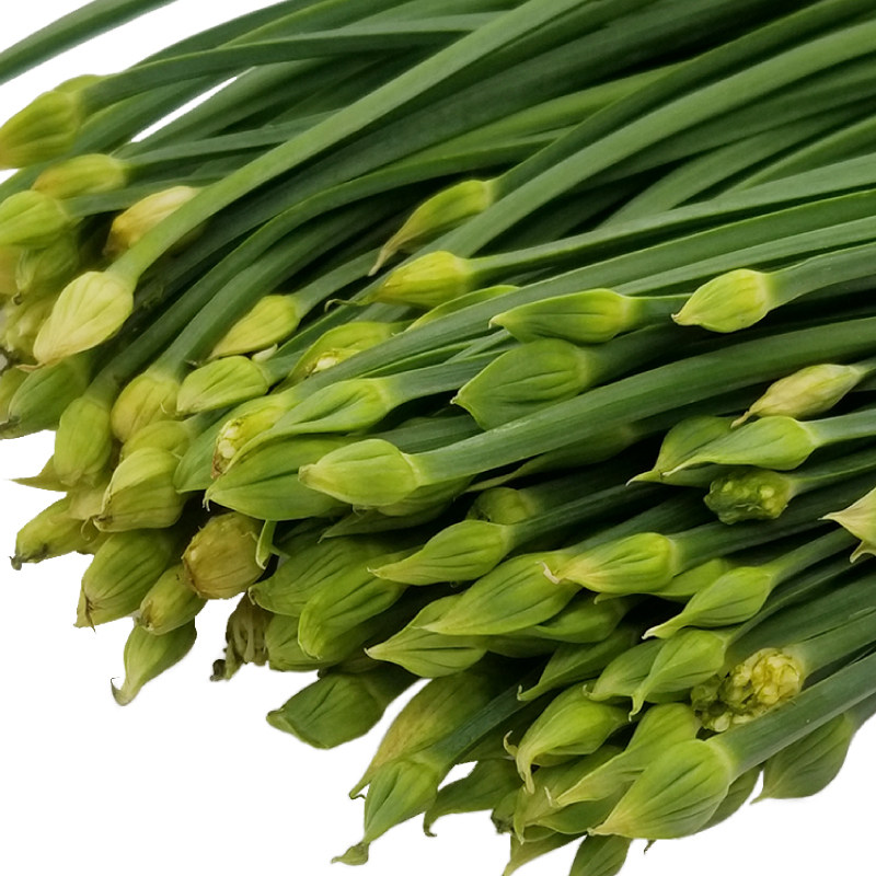 臻印映韭菜苔韭菜花胜似野生超越有机脆嫩可口鲜香甜美美食伴侣8