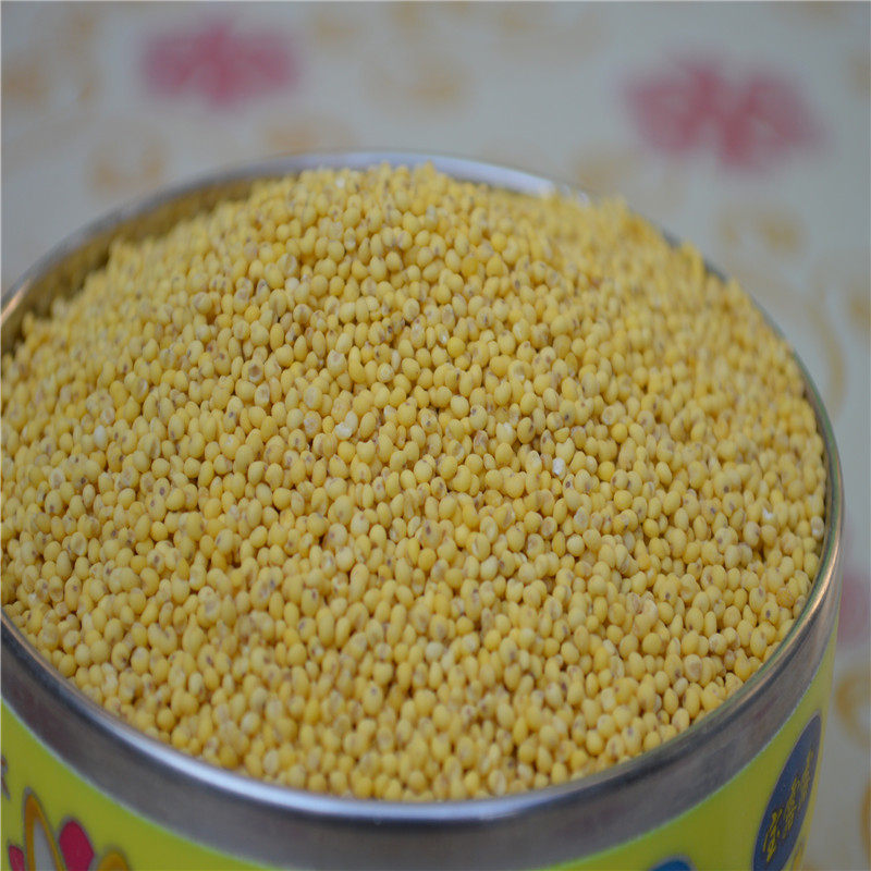 面粉大黄米面炸糕面黍山东特产农家自磨年糕面粉