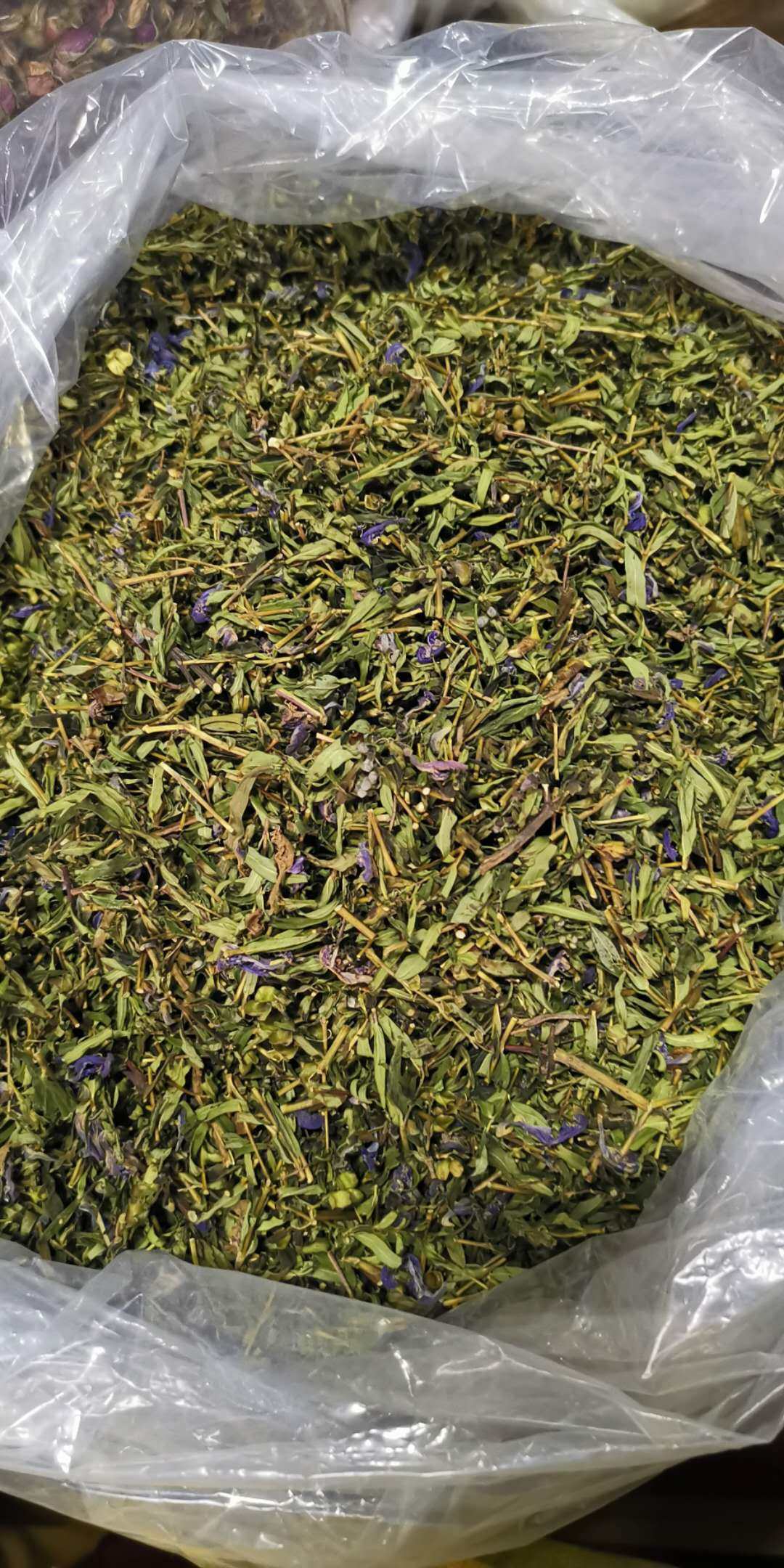 2020年新货内蒙古呼伦贝尔天然野生小黄黄芩叶茶100g其它干货