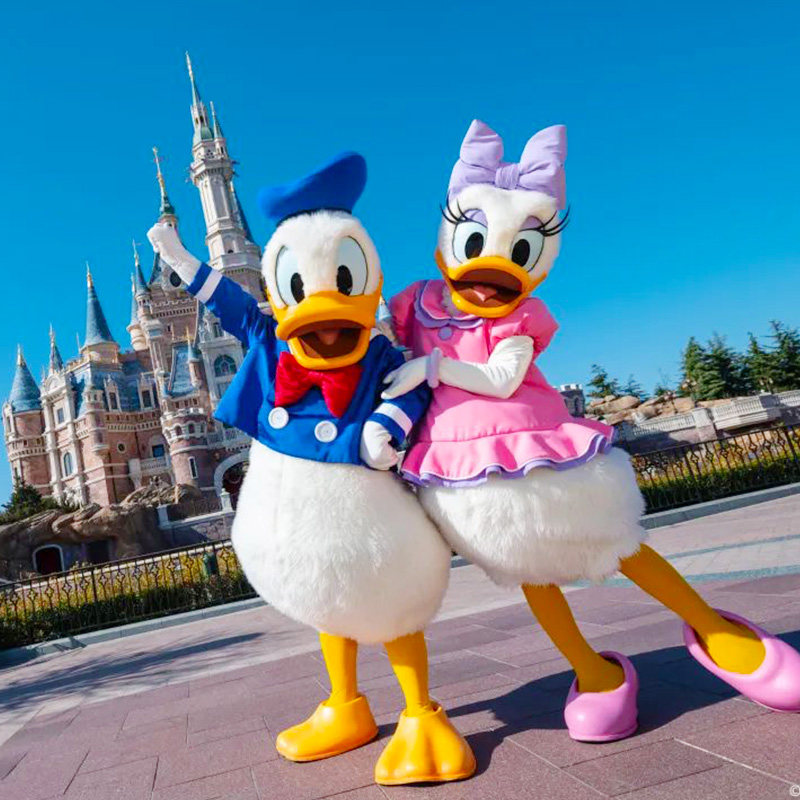 上海迪士尼乌镇苏州杭州西湖6天自由行纯玩可升级宋城境内跟团游