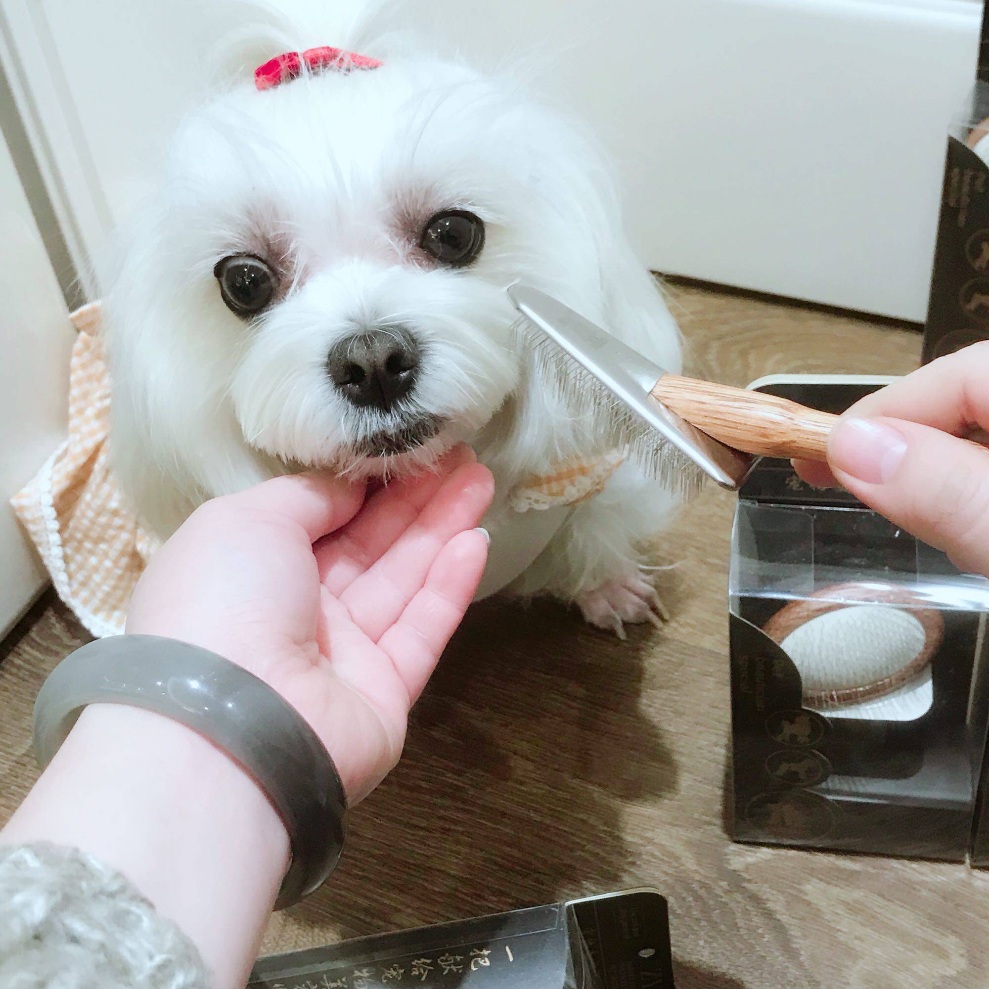 拉毛神器气垫针头宠物泰迪梳子比熊马尔博美猫狗梳子