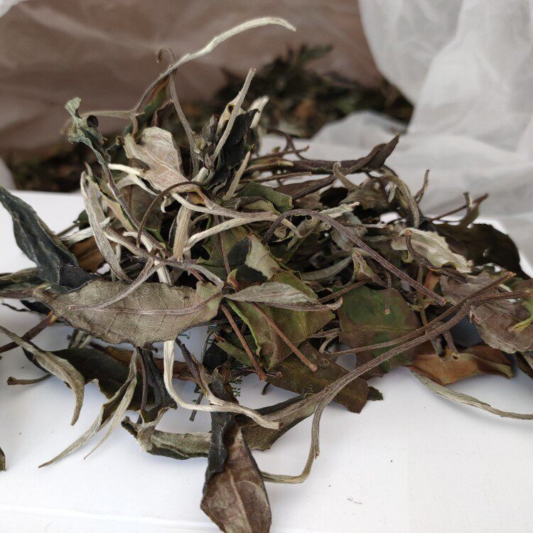 云南大叶种白无量山生态白茶500克2021年春茶散茶白牡丹
