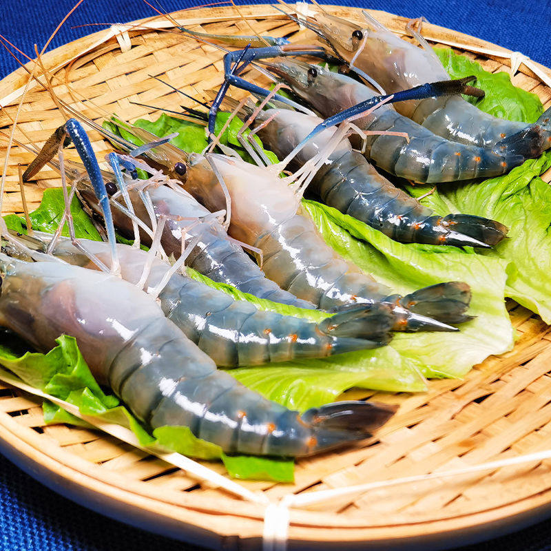 新鲜罗氏大头虾金钱沼虾活虾淡水海鲜水产当天活虾