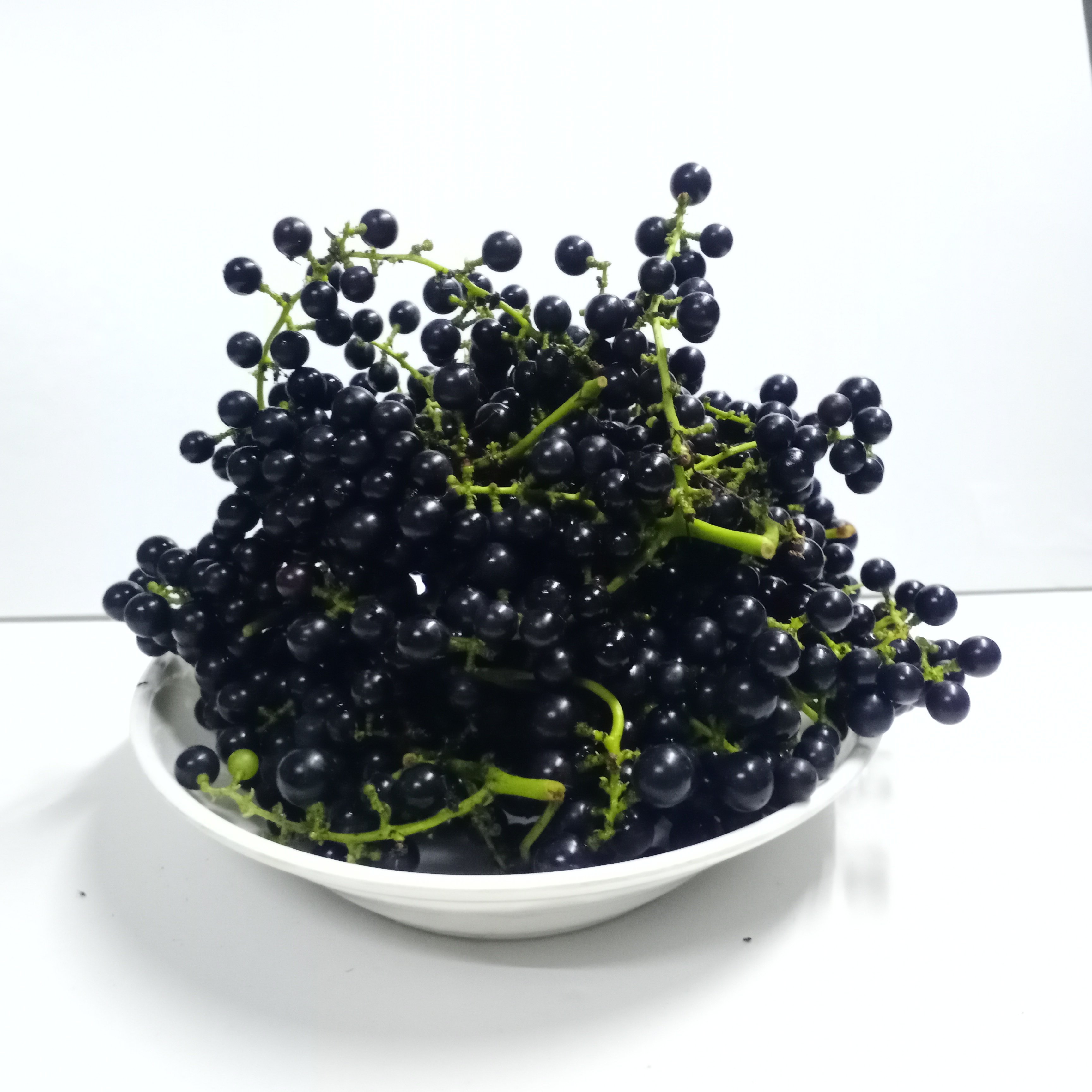 正宗野生葡萄酿酒山葡萄新鲜现摘纯天然天然水果加葡萄