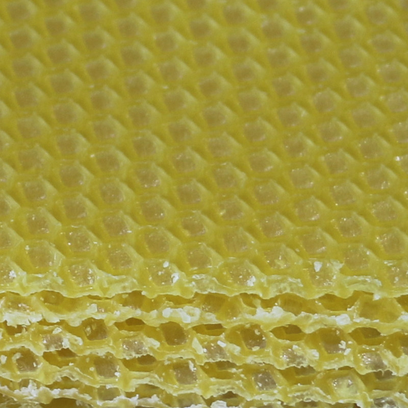 八千巢础中蜂巢础中蜂纯蜂蜡巢础片35片装特价包邮