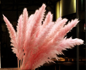 干花天然小粉粉色芦苇牛皮牛皮纸纸袋花束装饰干花