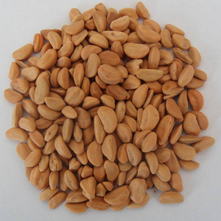 山楂散装籽新山里红核儿童玩枕头填充婴儿压枕包枕头