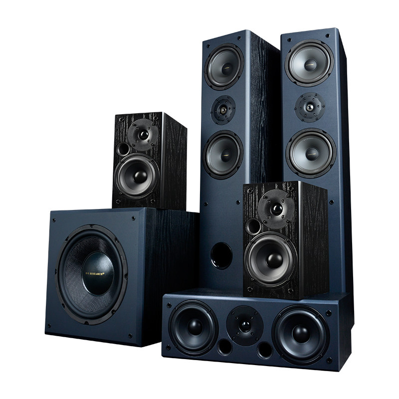 hivi/惠威套件单元diy天鹅9号hifi发烧 家庭影院5.1音箱套装 音响