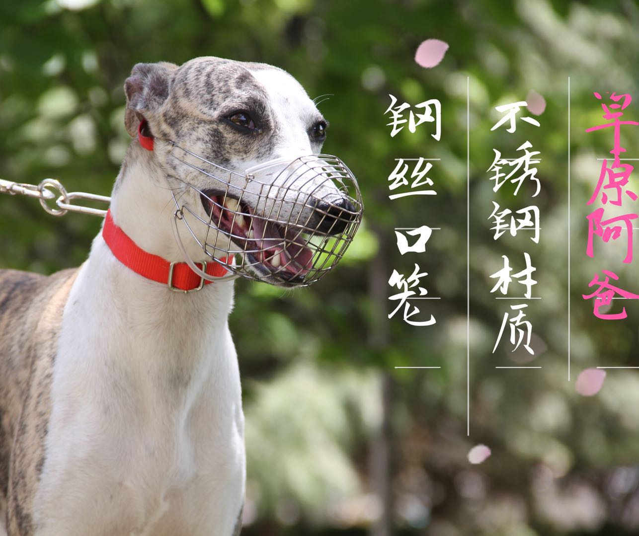 口笼进口钢丝嘴套口罩惠比特格力灵缇细狗乱咬嘴套