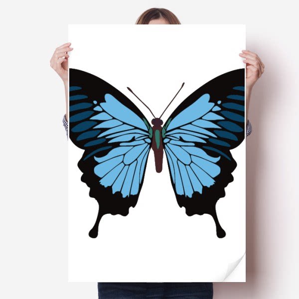 贴纸深蓝色蝴蝶剪影标本海报80x55cm卧室家居装饰宣传单