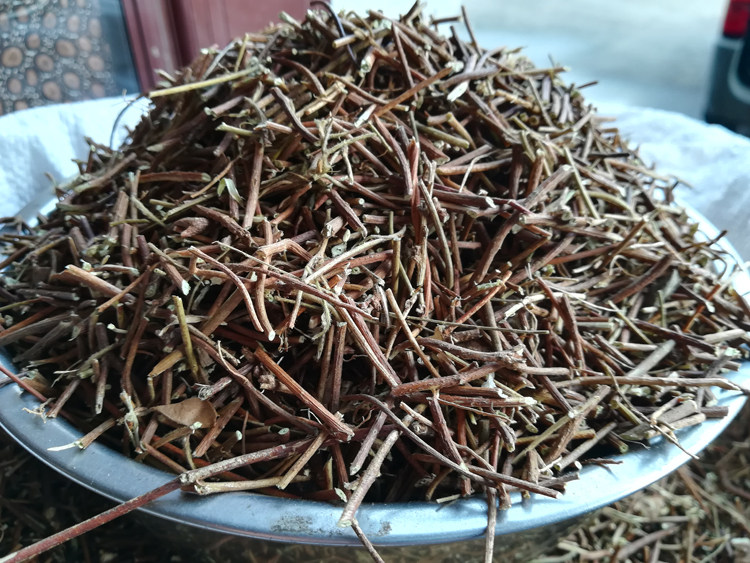 广西野生鸡骨草切段大黄农家特产相思叶广东煲汤其他药食同源食品