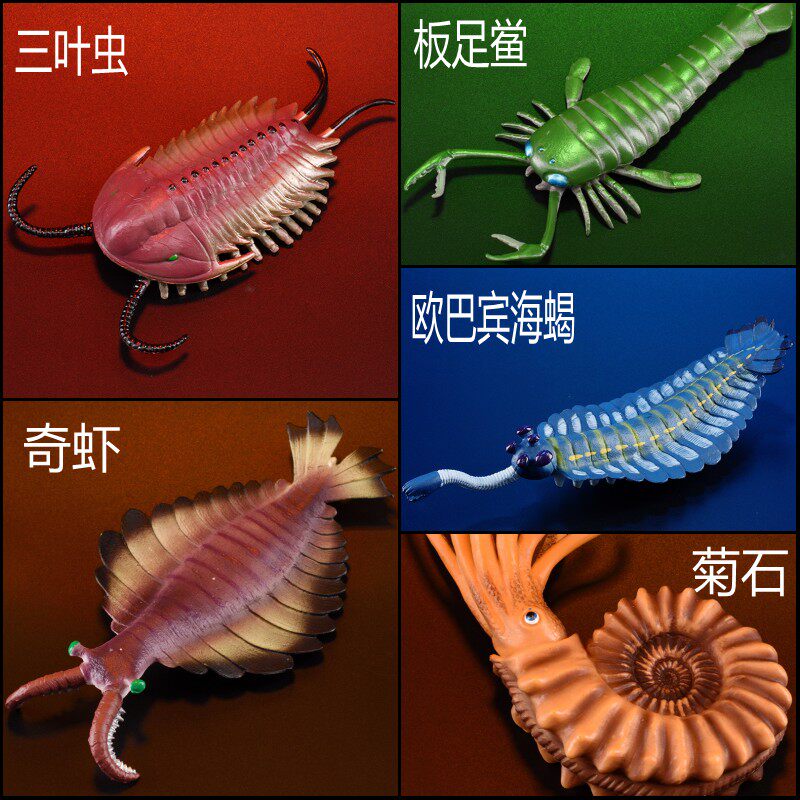 远古海洋生物模型儿童仿真动物玩具史前三叶虫奇虾仿真