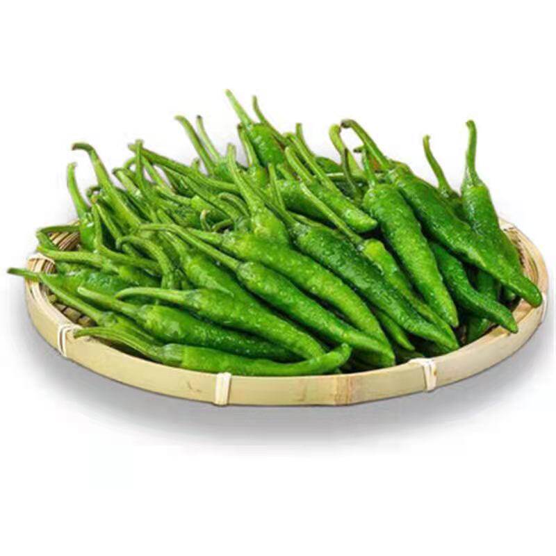 湖南小辣椒小青椒特产专卖本地辣椒软糯香脆十斤辣椒