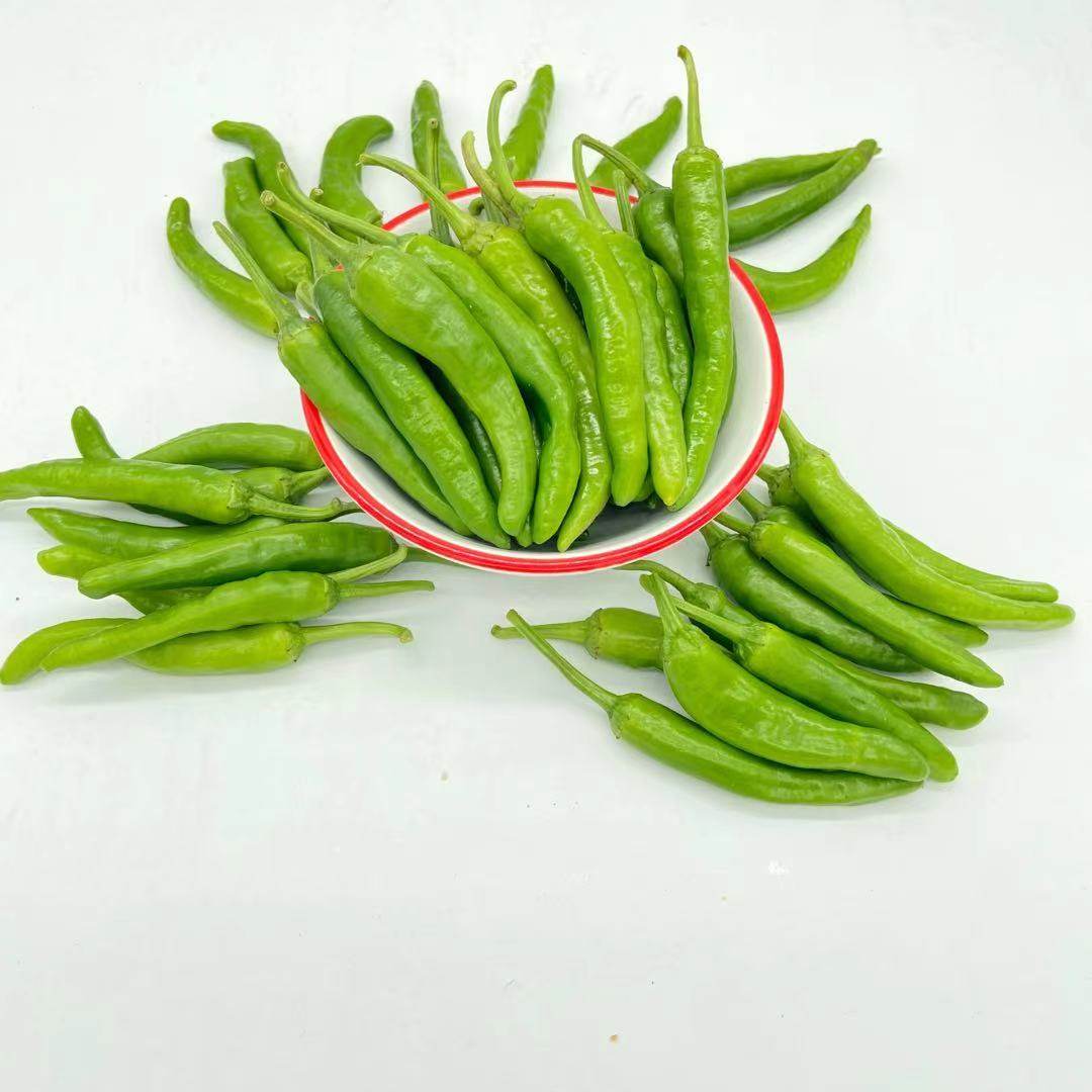 新新鲜杭州杭椒1000不辣的小尖辣椒小炒肉青辣椒非樟树港辣椒包