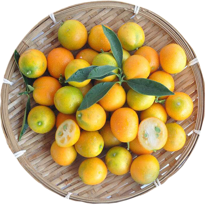 金桔新鲜包邮广西融安农家特产脆皮金桔小桔子 新鲜 5斤