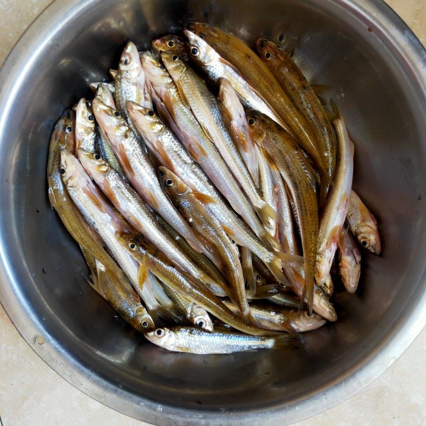 千岛湖棍子子鱼新鲜大眼睛淡水花骨棒棒鱼无刺船钉鱼淡水鱼类