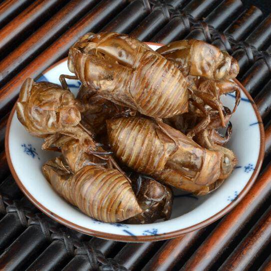 蝉蜕500克金蝉壳蝉衣知知了皮虫退蝉蝉衣蜕蝉其他药食同源食品