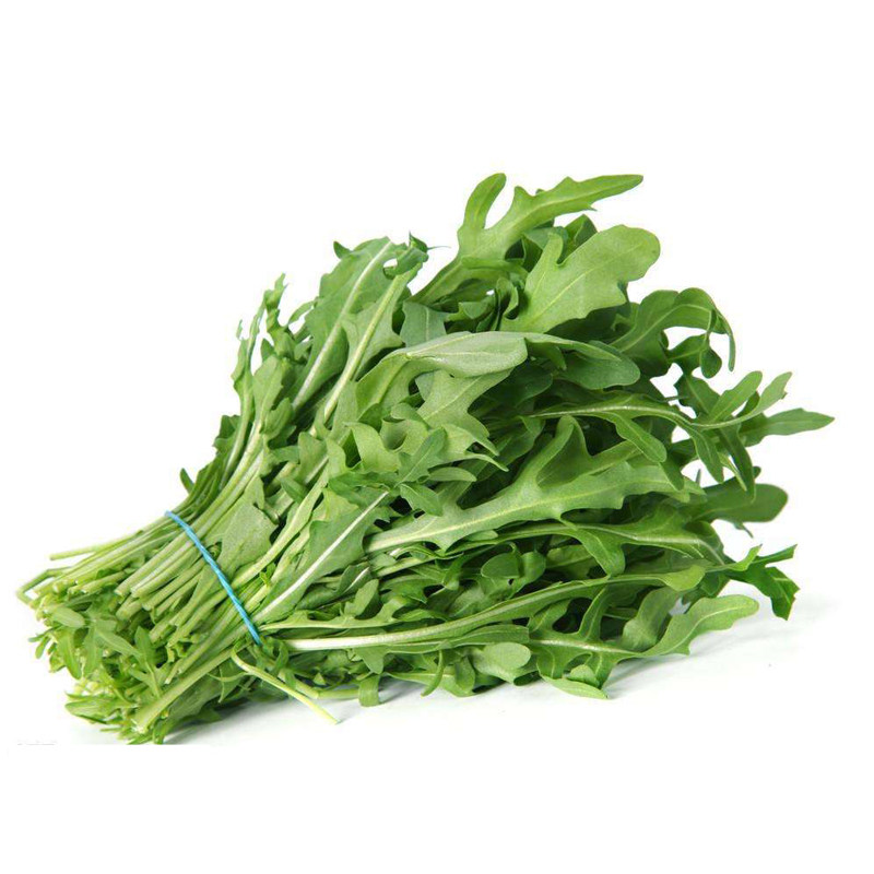 四季蔬菜东北大叶臭菜种子农家芝麻菜蘸酱菜籽野菜阳台菜园约5克