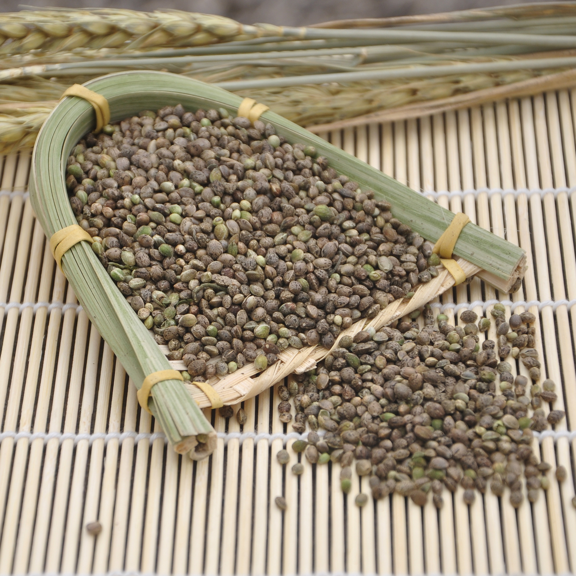 广西巴马火麻籽 火麻子火麻仁 火麻子 买3送1 半价促销包邮500g