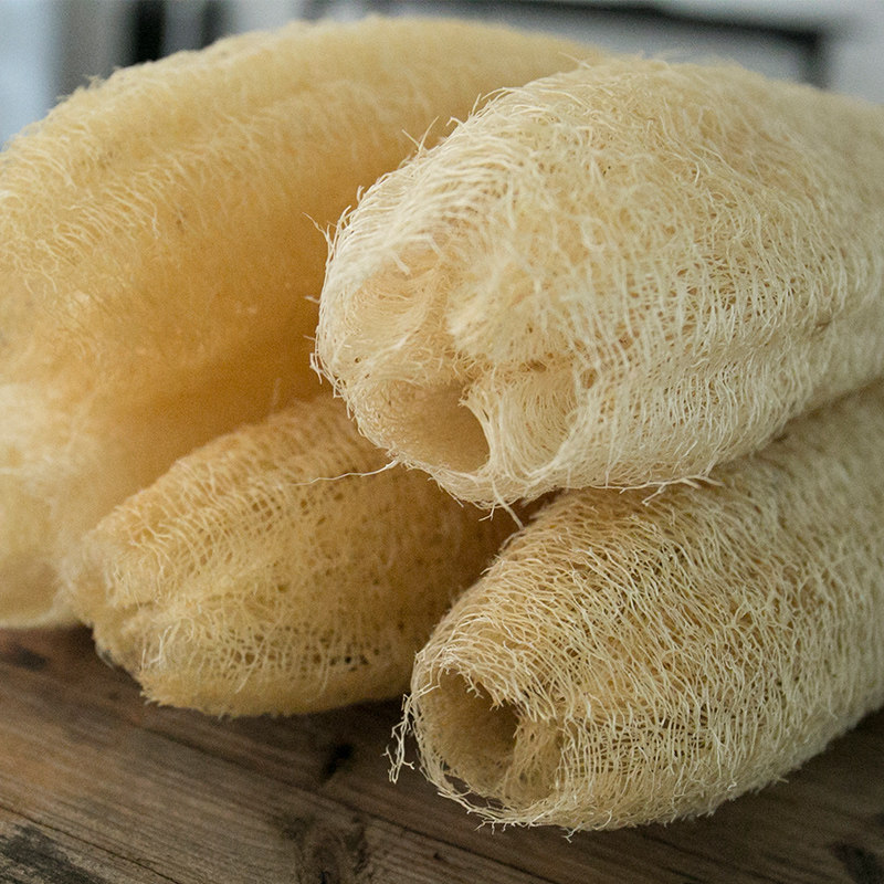 丝瓜洗碗整根天然天然丝刷锅瓜瓤百洁布干布丝瓜浴擦