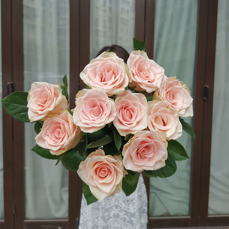 玫瑰凯丽流沙爱神奥斯汀花型宫廷宫廷花花卉高端鲜花速递同城