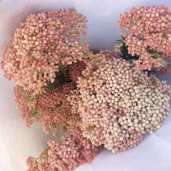 昆明明基地直新鲜小米花鲜切花真干花家庭装饰水养鲜花速递同城