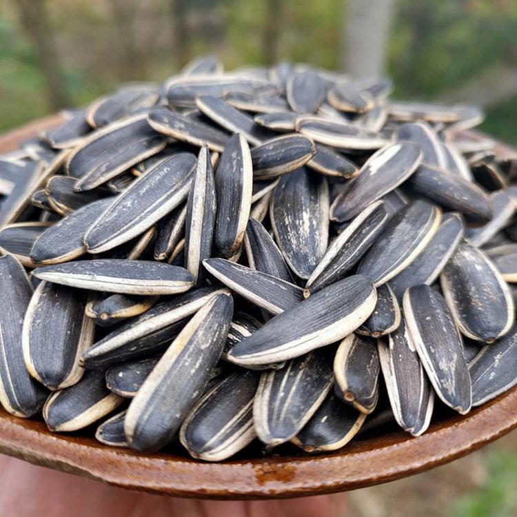 瓜子原味贵州铁锅手工葵花籽现炒现卖5斤包邮瓜子