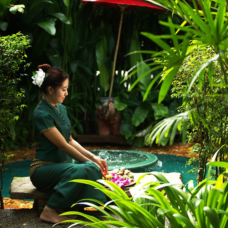 自由兔泰国普吉岛spa按摩绿洲spa 泰式按摩 泰国按摩马杀鸡